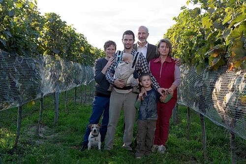 Magula - rodinné vinárstvo